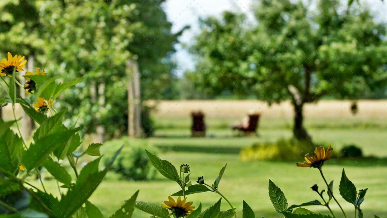 Unterspreewald Janischs Fewo Im Spreewald, Terrasse, Grosser Garten Und Blick Inklusive מראה חיצוני תמונה