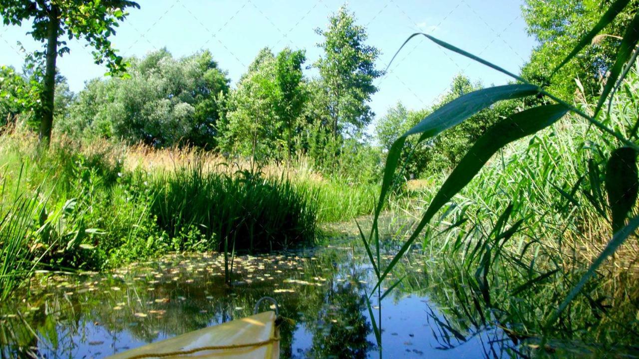 Unterspreewald Janischs Fewo Im Spreewald, Terrasse, Grosser Garten Und Blick Inklusive מראה חיצוני תמונה