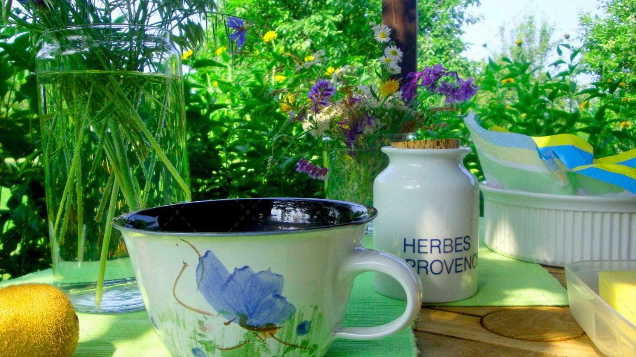 Unterspreewald Janischs Fewo Im Spreewald, Terrasse, Grosser Garten Und Blick Inklusive מראה חיצוני תמונה