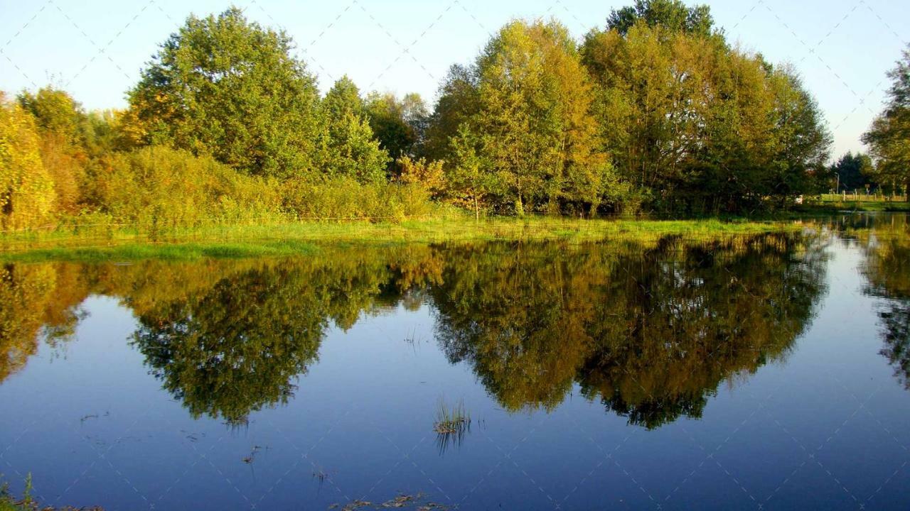 Unterspreewald Janischs Fewo Im Spreewald, Terrasse, Grosser Garten Und Blick Inklusive מראה חיצוני תמונה